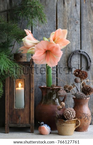 Winter scene with fresh amaryllis in clay pitcher, branch of cones, cones in ceramic cup, old authentic vintage lantern with candle, metal horseshoe on dark aged wooden background, vertical photo