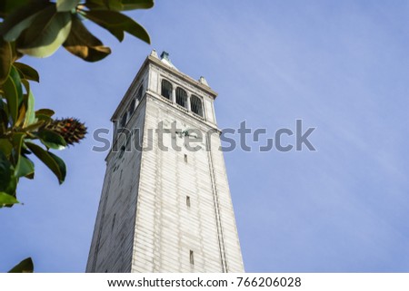 Sather tower (the Campanile) built in the Gothic Revival architectural style, on a blue sky background, framed by a Magnolia tree branch, Berkeley, San Francisco bay, California