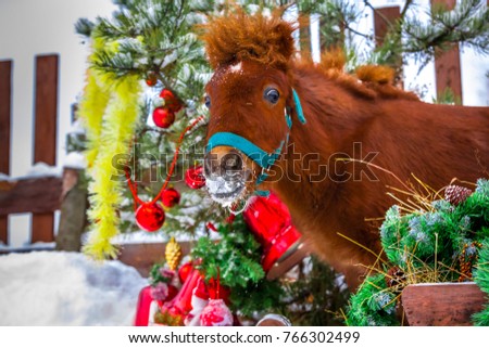 Redhead pony at a Christmas tree