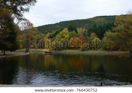 autumn in the park with many fallen leaves on the shore of a large lake reflected in it
