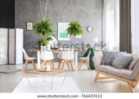 Green painting in a modern eco friendly apartment with ferns, and a white screen standing next to a black wall Royalty-Free Stock Photo #766437613