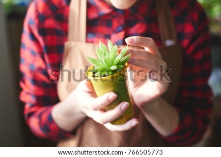 Young girl florist holding a sprout of a house plant