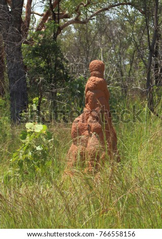 Portrait picture of large termite mound surrounded by grass in Northern Territory, Australia