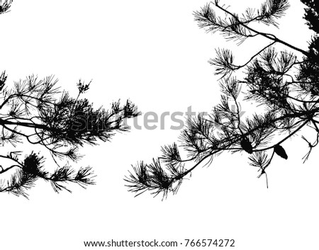 Realistic pine tree silhouette (Vector illustration).Eps10
