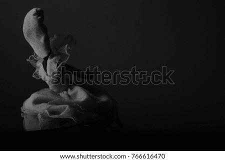 Black and white photograph of Cuban feminist wrist doll with black background