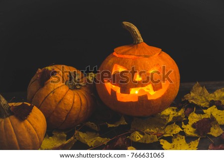 Pumpkin on the rustic background with autumn decoration. Selective focus. Shallow depth of field.