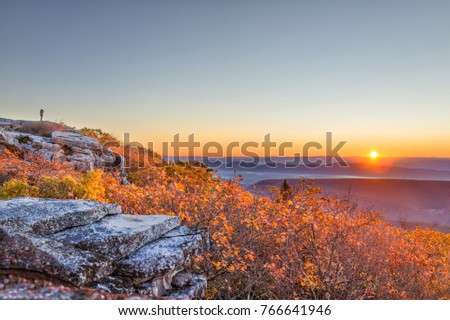 Standing man in distance silhouette far away on autumn morning in Bear Rocks, West Virginia looking at sunrise