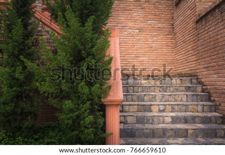 Trees and stairs
