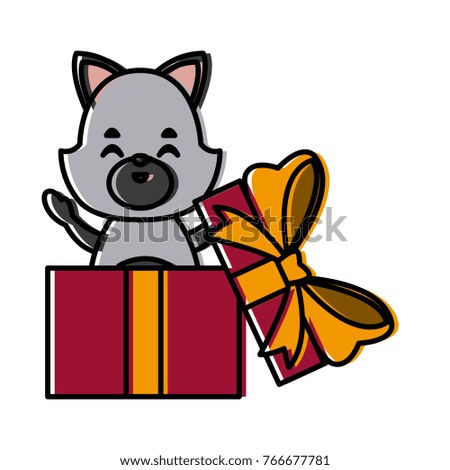 Cat in giftbox