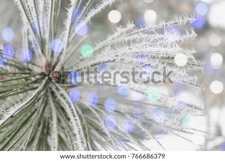 Christmas New Year background, branches of a Christmas tree with a bokeh
