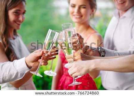 Friends having a toast