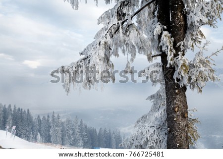 Winter mountain landscape. Karkonosze, Poland.