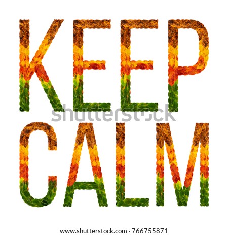keep calm word is written with leaves white isolated background, banner for printing, creative illustration color leaves keep calm.