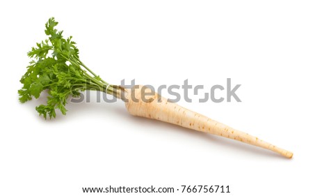 parsley root path isolated Royalty-Free Stock Photo #766756711