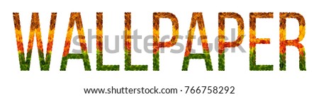 wallpaper word is written with leaves white isolated background, banner for printing, creative illustration of color leaves wallpaper