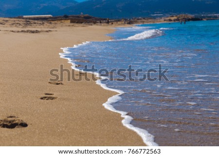 Footprints on a beach in the sand.