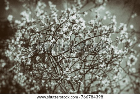 White flowers and trees on vintage film grayscale picture 
