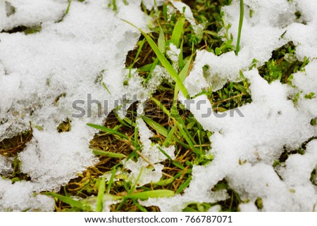 Snow on the grass. Winter has come.