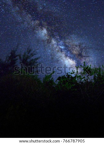 Beautiful milkyway and silhouette of  tree on a night sky before sunrise.
