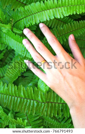 Left hand and wedding rings on  green leaf fern background