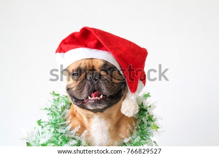 French bulldog in Christmas and new year concept on white background Royalty-Free Stock Photo #766829527