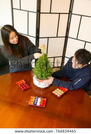 Mini Rosemary Christmas Tree being Decorated by Young Asian Generation Z Couple  with Colorful Ornaments in Studio with a Gold Star
