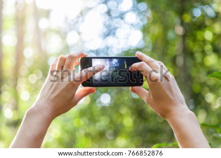 A young woman's hands holding a smart phone while taking a photograph of a forest during a bright morning.