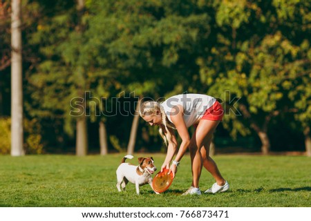 Woman throwing orange flying disk to small funny dog, which catching it on the grass. Little Jack Russel Terrier pet playing outdoors in park. Dog and owner on open air. Animal in motion background