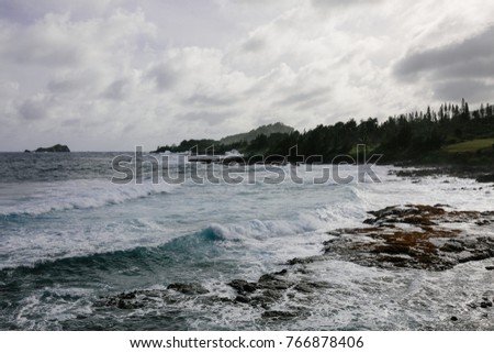 Waves on the Beach in Hana