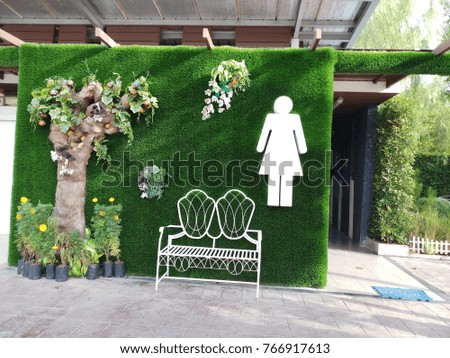 symbol woman toilet on green background