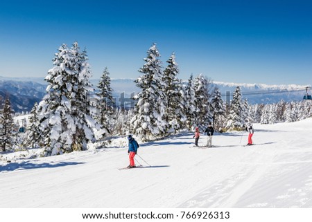 Mountain ski resort Shiga Kogen, Japan - nature and sport background, cable, sunny day, snow pine trees