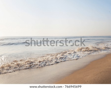 Beach in summer