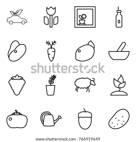 Thin line icon set : eco car, perishable, flower in window, vegetable oil, beans, carrot, lemon, mortar, berry, seedling, sheep, sprouting, tomato, watering can, acorn, potato