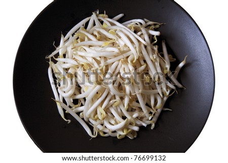 Closed up group of beansprouts