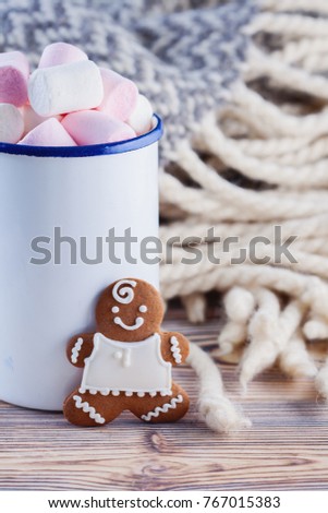 hot chocolate with marshmallows and cozy blanket - Christmas time