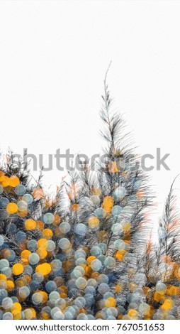 Pine  leaves and bokeh isolated  on white background with copy space.stripe lines. bokeh background from christmas tree. flashing bulb,light ornamental  