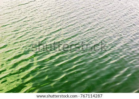 Green water surface in a pond, emerald water texture background, lime green water with wave