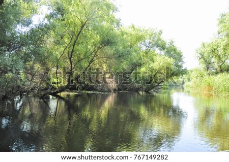 Danube Delta reservation. River landscape