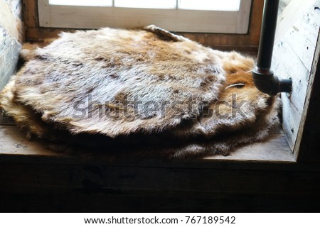 Beaver pelts, Lower Fort Garry, Manitoba Royalty-Free Stock Photo #767189542