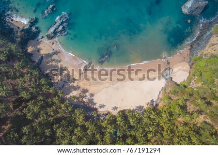 Aerial view of coastline of Indian ocean with tropical forest, water and fishing boats, Morjim beach, Goa. Top photo from flying drone for your advertising text message or promotional content.  Royalty-Free Stock Photo #767191294