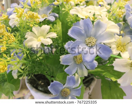 Colorful flowers in baskets