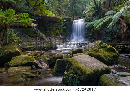 Horseshoe Falls in Mount Field National Park near Hobart, Tasmania, Australia Royalty-Free Stock Photo #767242819