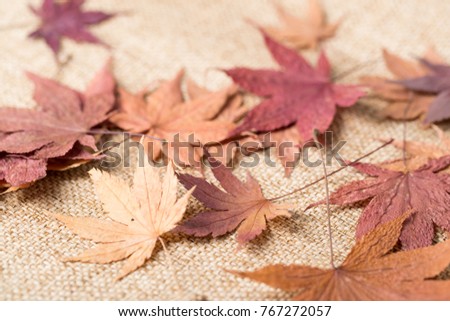 Dried maple leave over linen texture