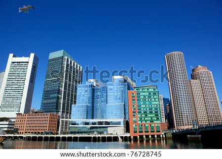 Office buildings and flying gull in Boston city, USA