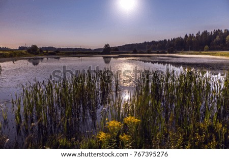 Night landscape on a full moon and smal lake near forest.