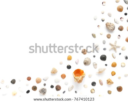 A creative pattern of shells, natural stones, starfish. Composition of natural materials, flat lay, top view. Summer, sea concept. White marine background with space for text.