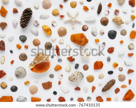 A creative pattern of shells, cones, unprocessed pieces of amber, natural stones, starfish. Composition of natural materials, flat lay, top view. Summer, sea concept. Marine background, stone texture.