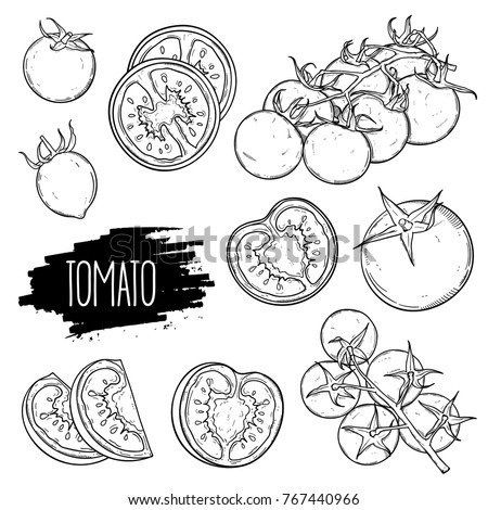 Hand drawn tomato set. Tomatoes, slices, halves, cherry tomatoes and bunch isolated on white background. Outline ink slyle sketch. Vector coloring illustration. Royalty-Free Stock Photo #767440966