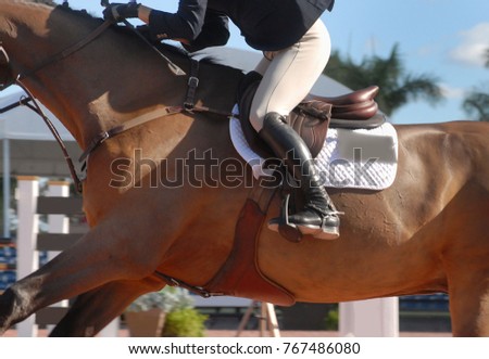 Detail of a horse and rider competing in a show jumping event in an arena on a sunny day. The rider is wearing a jacket and breeches. The horse is bay colored Royalty-Free Stock Photo #767486080