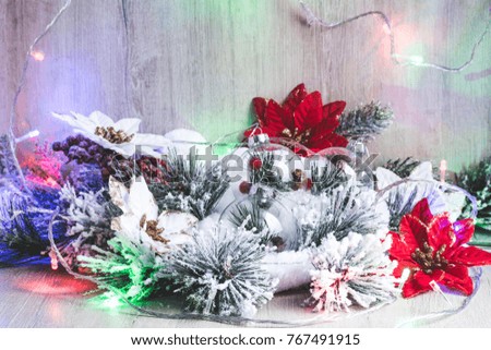 Christmas decor. Christmas or New Year background: Christmas flowers poinsettia, Christmas tree, tree branches and garland